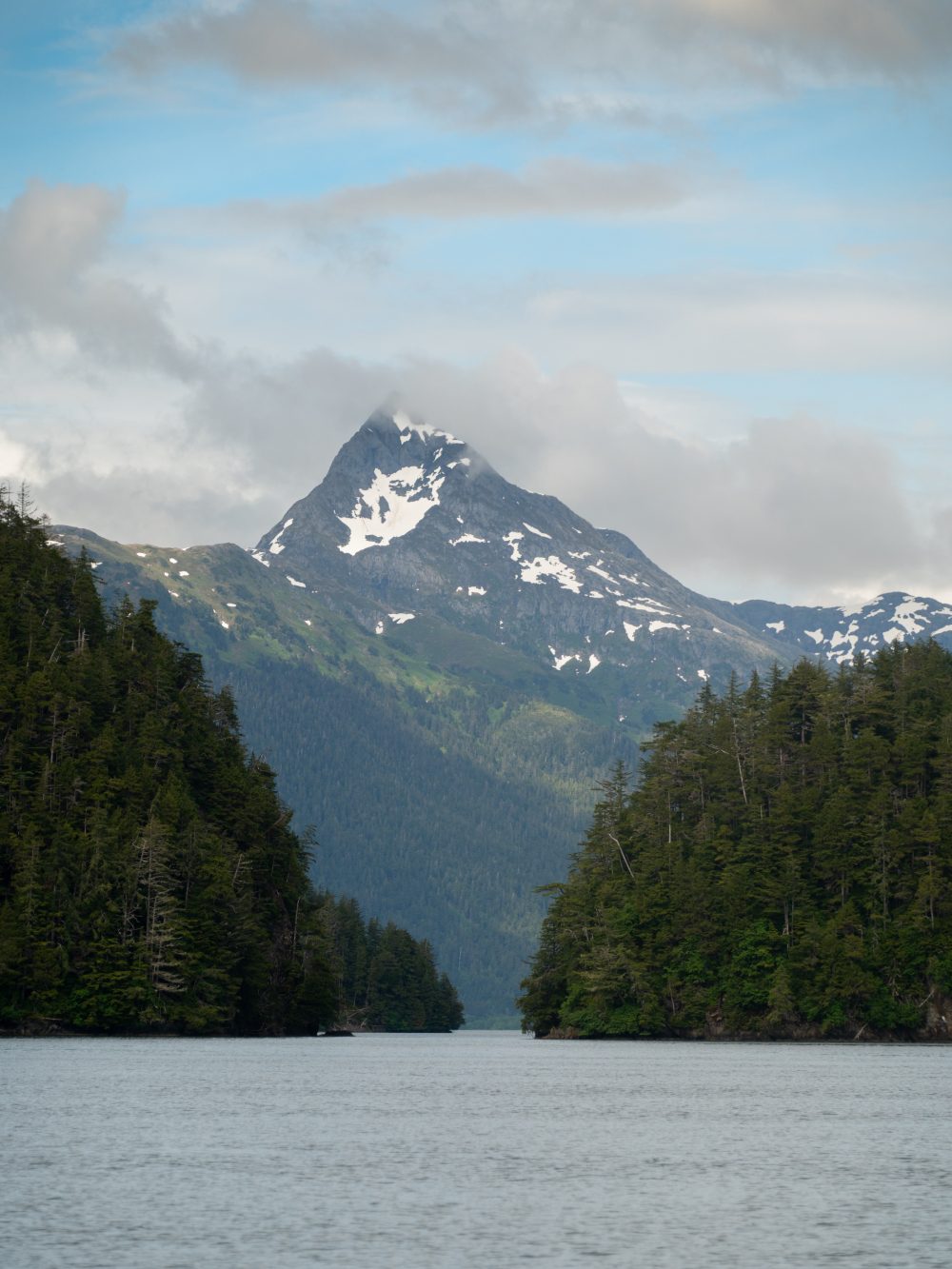 Sitka Alaska whale watching tours
